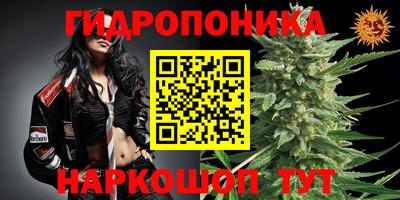 ПСИЛОЦИБИНОВЫЕ ГРИБЫ Аргун