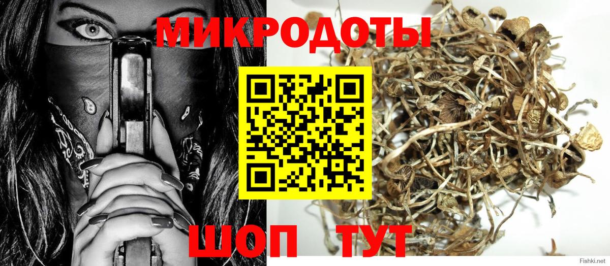 Галлюциногенные грибы прущие грибы  Вход с VPN  Черногорск  купить наркотик  Галлюциногенные грибы Psilocybine cubensis 