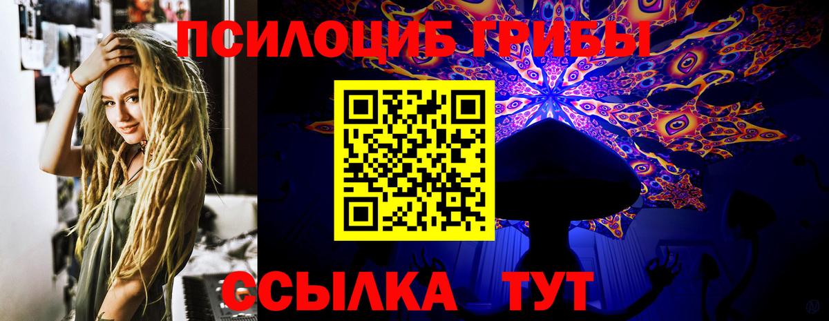 Галлюциногенные грибы прущие грибы Черногорск