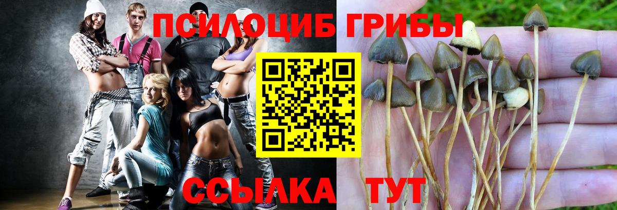Метадон Черногорск